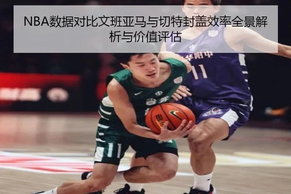 NBA数据对比文班亚马与切特封盖效率全景解析与价值评估